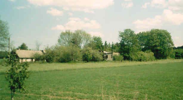 18 Peetri talu elumaja varemed, kõrvalhoone on veel püsti. Pildistatud 2004.a. Lepiku talu nr.21 48,7 ha Talude nimed on jäänud ikka asukoha järgi.
