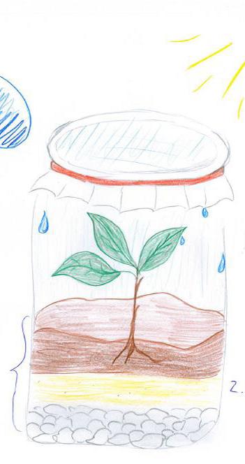Klimaglas Anleitung Material Einmachglas Kies Sand Erde Klarsichtfolie Gummiband Esslöffel Wasser (Pflanze) Vorgehen Das Glas mit Kies, Sand und Erde in dieser Reihenfolge zu einem Viertel füllen.