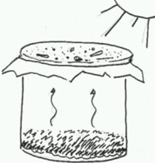 9. Experiment: Tröpfchenbildung im Einmachglas - Material: großes Einmachglas Frischhaltefolie Gummiring etwas Erde und Moos 1 Steinchen Wasserspritzer Sonne Mit diesem Material können wir die Erde