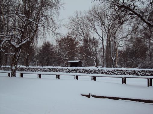 Veranstaltungen und Termine Winterlandschaft im RVH Seit 25 Jahren hat es nicht mehr so viel Schnee in