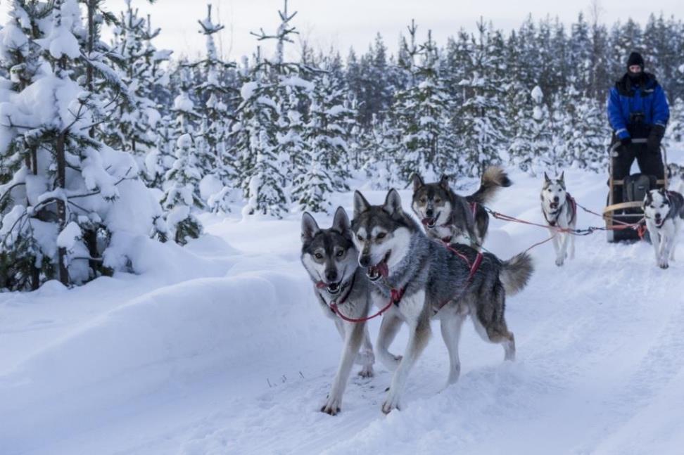 Valkea Arctic Experience Eine Woche in Lappland voller Aktivität Programm «fein» Saison 2018 Die Valkea Lodge könnte auch irgendwo in «Bullerbü» oder in «Lönneberga» liegen, denn wie in den