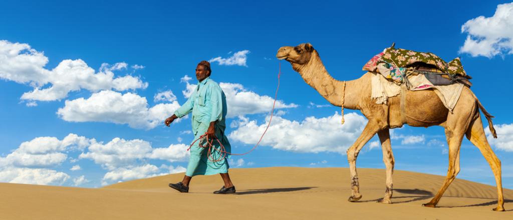 Das pittoreske Rajasthan ist die farbenfrohste und ursprünglichste Region Indiens.