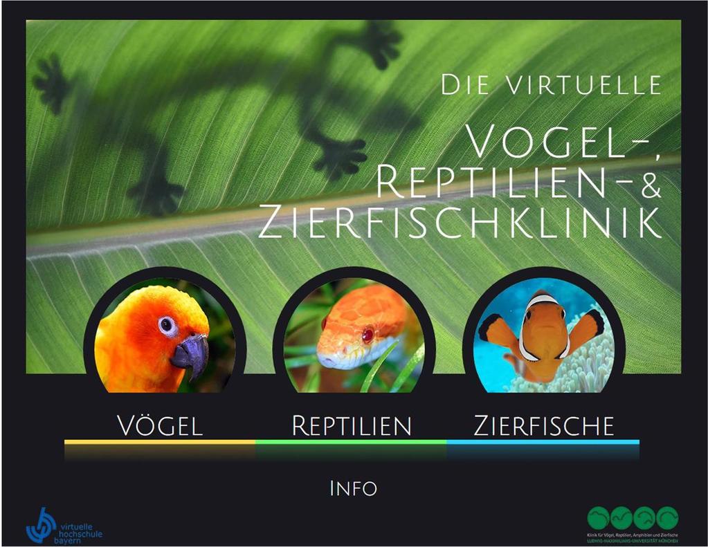 55 4 Ergebnisse Die virtuelle Reptilienklinik als Teil der virtuellen Vogel-, Reptilien- und Zierfischklinik stellt eine interaktive Lernplattform für die Studierenden der Tiermedizin und weiteren