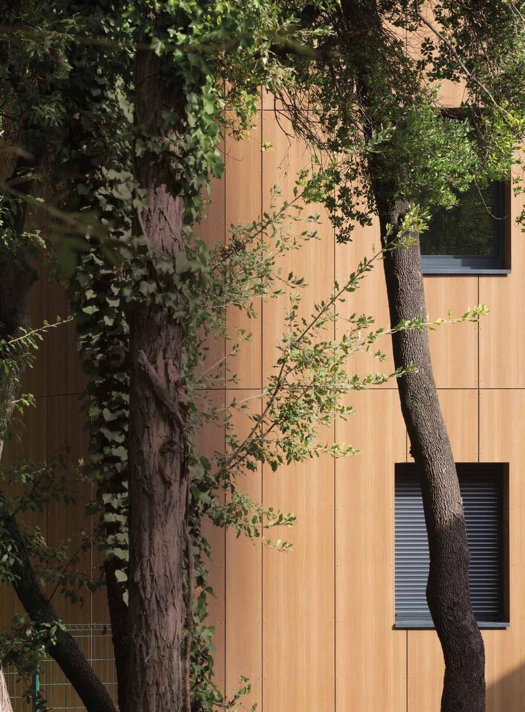 VON HOLZ INSPIRIERT Edle Hölzer aus aller Welt 34 Holz ist in der zeitgenössischen Architektur allgegenwärtig.