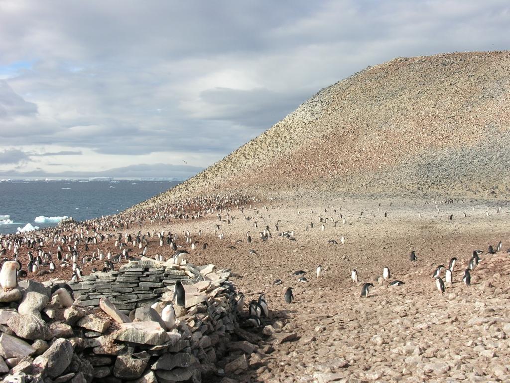 Einführung und geografische Übersicht Das Inlandeis und die Schelfeise Hinweis: Eis der Antarktis als Klimaarchiv Was ist
