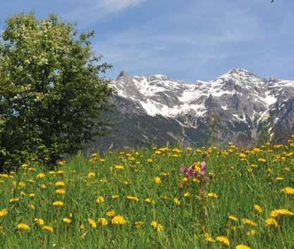 Tourismusverband PillerseeTal - Kitzbüheler Alpen Dorfplatz 1 6391 Fieberbrunn Tel.: +43.5354.56304 E-Mail: info@pillerseetal.
