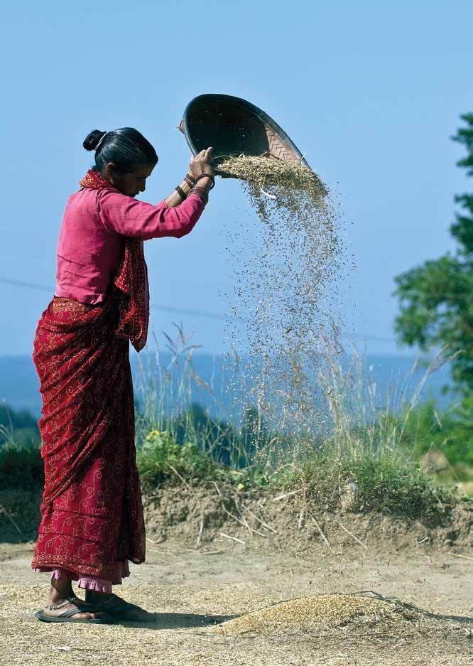 Projekt fair&good Biologischer Anbau und fairer Handel verbessern die Lebensbedingungen von Kleinbauern nachhaltig.