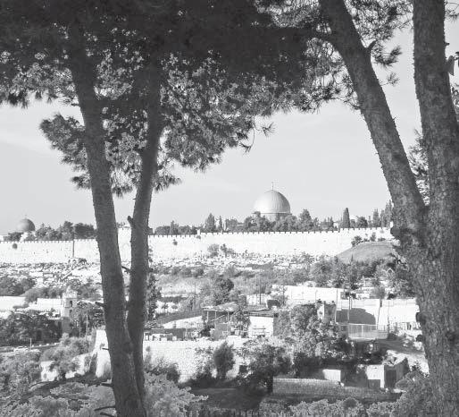 Titelbild: Tempelberg in Jerusalem diese Seite: Blick vom
