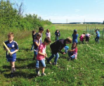 gebacken hat. Auch heuer fand die Sommerferienbetreuung der Volkshilfe Niederösterreich in Kooperation mit der Gemeinde Eggendorf in den ersten drei Juli- bzw.