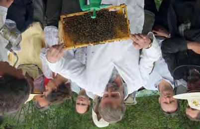 Die Bienen bedeuten für ihn seit 50 Jahren Freude und Leidenschaft und er gibt sein ganzes Wissen als ausgebildeter Fachwart weiter an die vielen Imker und Imkerfreunde.