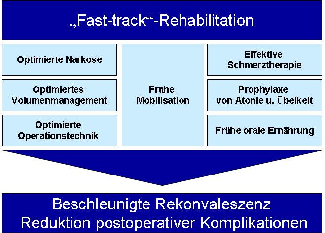 Einleitung Seite 7 Tabelle 1: Die Säulen der Fast-track -Rehabilitation Die multimodalen Maßnahmen der Fast-track-Rehabilitation zielen darauf ab, die postoperativen Organfunktionen der Patienten so