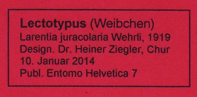 in Deutschl. Ins. muss anders heissen, weil Boisd. eine Obsoletata hat». Der Locus typicus der Larentia alpicolaria entspricht somit der obsoletata (H.-S., 1838): «Schneeberg, Österreich».