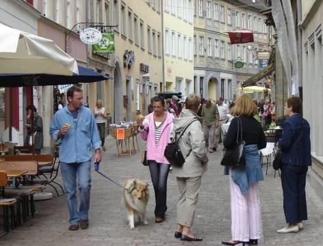 Projektorganisation IG InteresSAND Von 2006 bis 08 wurden 31 Mio.