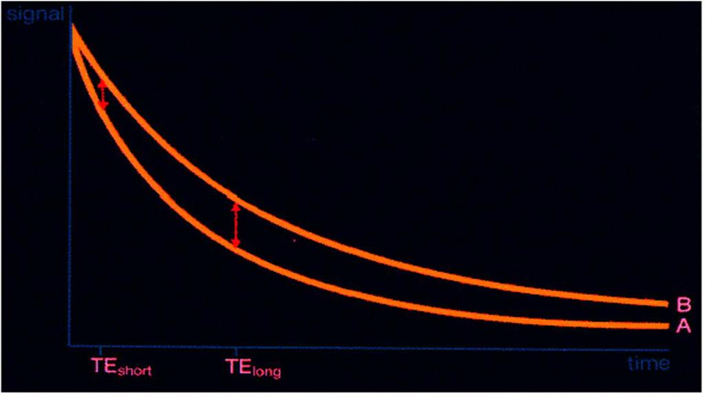 T 2 -Gewichtung Transversalmagnetisierung ist kurz nach dem HR-Impuls am stärksten, nimmt dann ab. Geschwindigkeit wird durch T 2 -Kurve beschrieben.