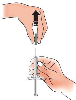 D. Bereiten Sie die Injektionsstelle vor und reinigen Sie sie Oberarm Bauch (Abdomen) Oberschenkel Sie oder Ihr Pflegepersonal können in folgende Bereiche injizieren: Ihren Oberschenkel Ihren Bauch,