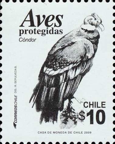 50 Jahre Nationalpark Torres del Paine 109. (2311) 500 P.