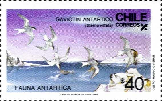 1986, 16. Juli Vögel der Antarktis 30.