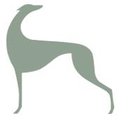 Quellenangaben: 1. Greyhound Neuropathy what lessons to learn? : http://katrin-undjoachim.de/2017/08/31/greyhound-neuropathy-what-lessons-to-learn/ 2.
