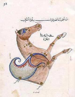 Abb. 3 Das Sternbild Pegasus aus der Sammlung des Astronomen Ulugh-Beg [1]. Diese farbige Darstellung des Sternbilds Pegasus (Peg) [1] entstand um das Jahr 1435 für den Astronomen Ulugh-Beg.