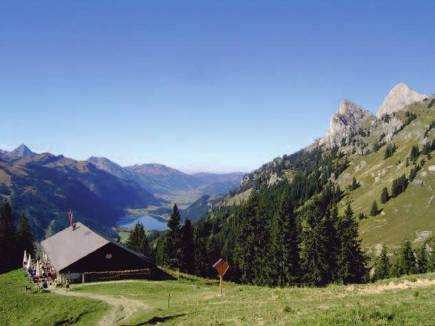 Wandern Sie mit uns im Gebiet des Reuttener Hahnenkamms zu den verschiedenen Almen, die auf der Route des Tiroler Adlerweges liegen und genießen Sie die herrliche Aussicht auf unsere