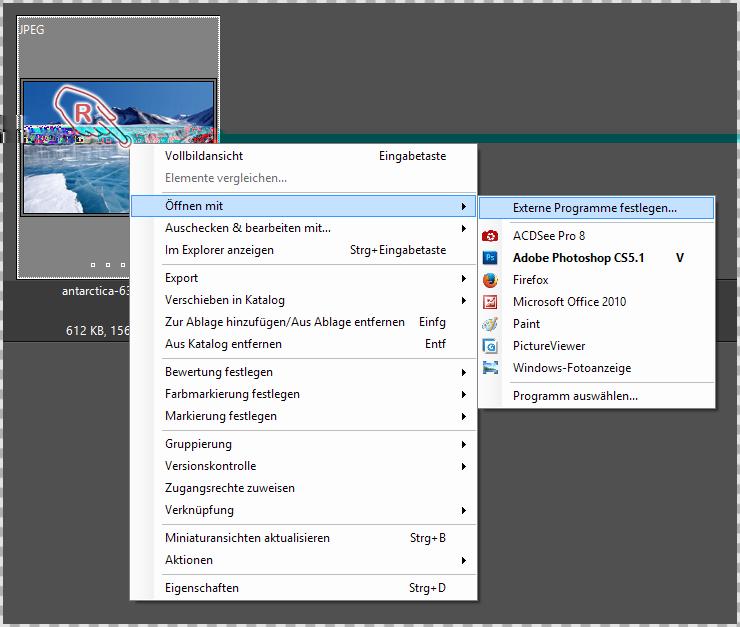 Im Kontextmenü navigieren Sie anschließend zu Öffnen mit. Daminion listet nun automatisch alle in Windows für das jeweiligen Dateiformat eingetragene Standardprogramm auf.