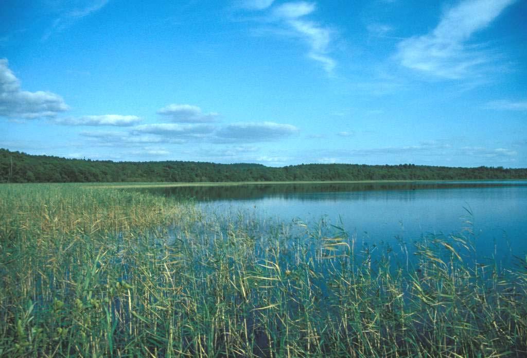 Lebensraum See Gefährdungsgrad nach RL der Biotoptypen (2006): nährstoffarme (oligotrophe) natürliche Seen