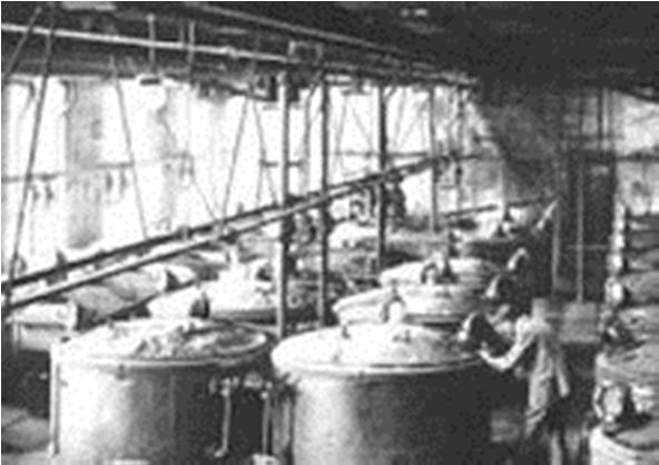 Industrie der synthetischen Farbstoffe entstand (BASF, Bayer, Agfa, Höchst, Casella) BASF 1865: gegründet zur Herstellung von