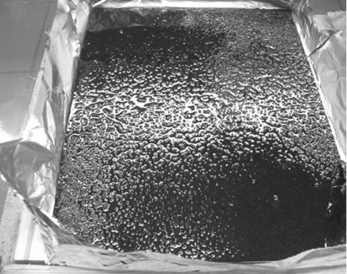 Bioharz wird mit Gummischiebern auf der Oberfläche eingearbeitet und anschließend scharf abgezogen.