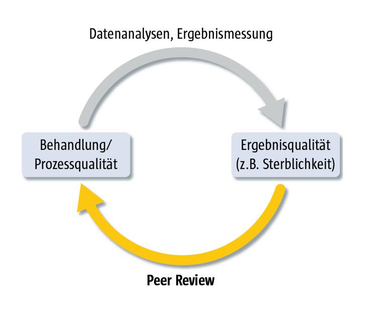 Das Peer Review Verfahren im PDCA-Zyklus