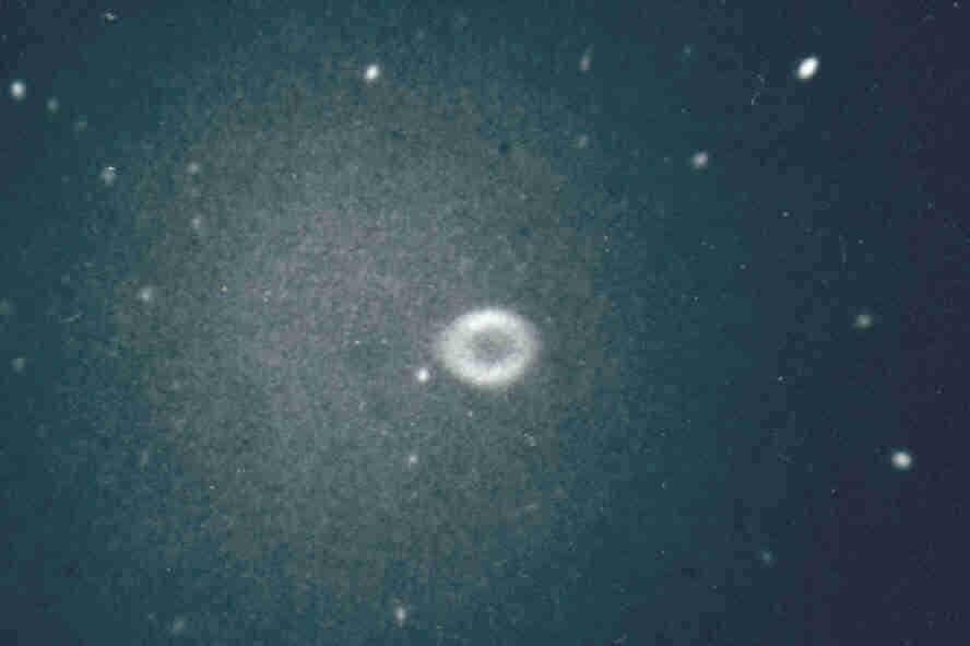 2 Der Ringnebel M 57 im Sternbild Leier Was man als Ring sieht, ist in Wahrheit die Projektion einer nahezu kugelförmigen Gashülle um den Zentralstern.