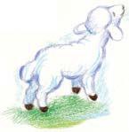 Kinderwäsche Wolle / Seide Kinder brauchen eine wärmende und schützende Hülle während des ganzen Jahres. Am besten geeignet dafür sind Wolle und Seide.