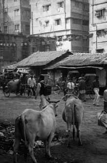 März bis Mai 2013 Aktuelles Alltag in Kalkutta Während eines mehrwöchigen Aufenthaltes in Kalkutta hat Herbert Reiboldt seine Impressionen vom oft einfach scheinenden Alltagsleben festgehalten.
