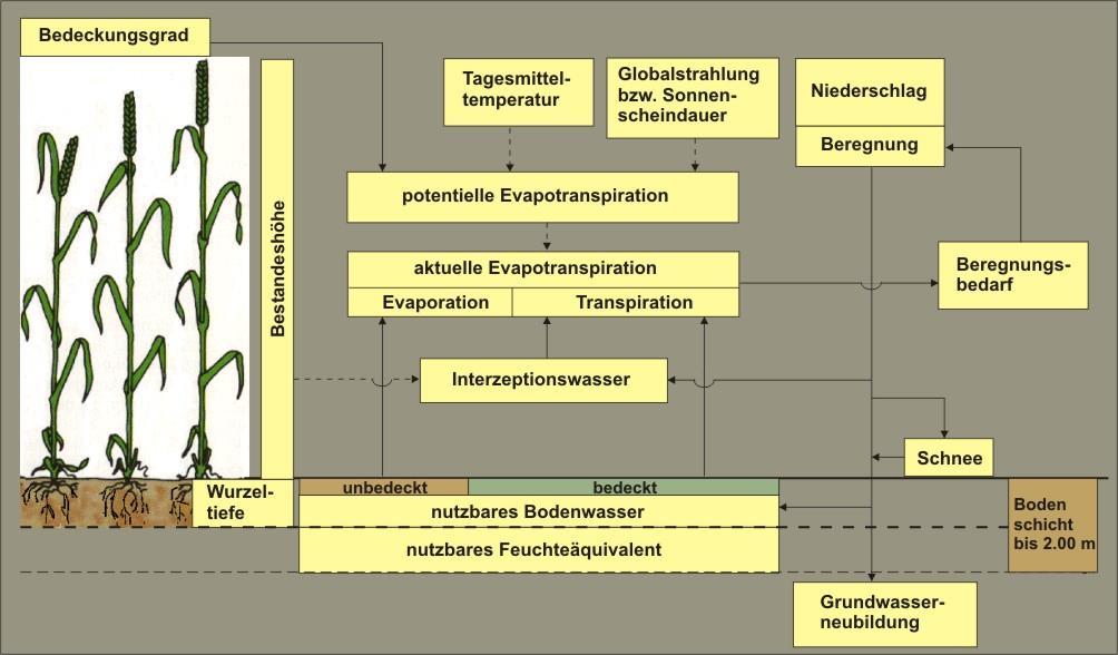 Abbildung 34: Mehrschichtenbodenfeuchte- und Evapotranspirationsmodell in BEREST-90 (Quelle: ZALF, Institut für Landschaftssystemanalyse) Abbildung