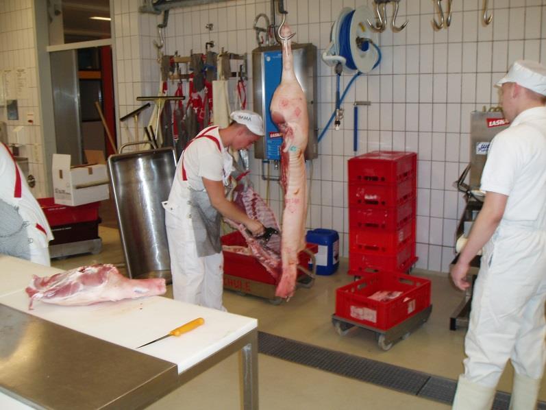 (Zerlegen von geschlachtetem Vieh, Entbeinen und Entsehnen) und Bezeichnen der Fleischteile - Wursterprüfung