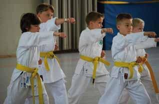 Karate Wado-Ryu-Sommerlager lockt 170 Karatekas nach Bienenbüttel Immer wieder Bienenbüttel!