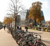 Praxisbeispiel Freiburg Nutzungsmischung und die Bewältigung von Nutzungskonflikten in Innenstädten, mehrere Sanierungsmaßnahmen aus der Städtebauförderung unterstützt worden, die schwerpunktmäßig