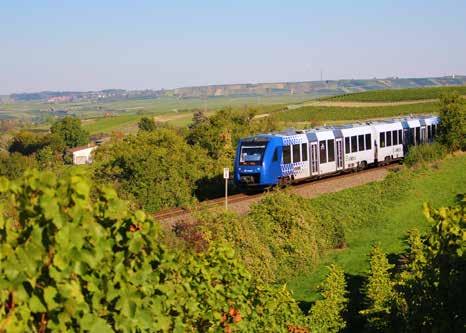 Durch die Weinberge ins Elsass Die deutsch-französische Grenzregion lockt mit kulinarischen Highlights, vollmundigen Weinen und romantischen Landschaften.