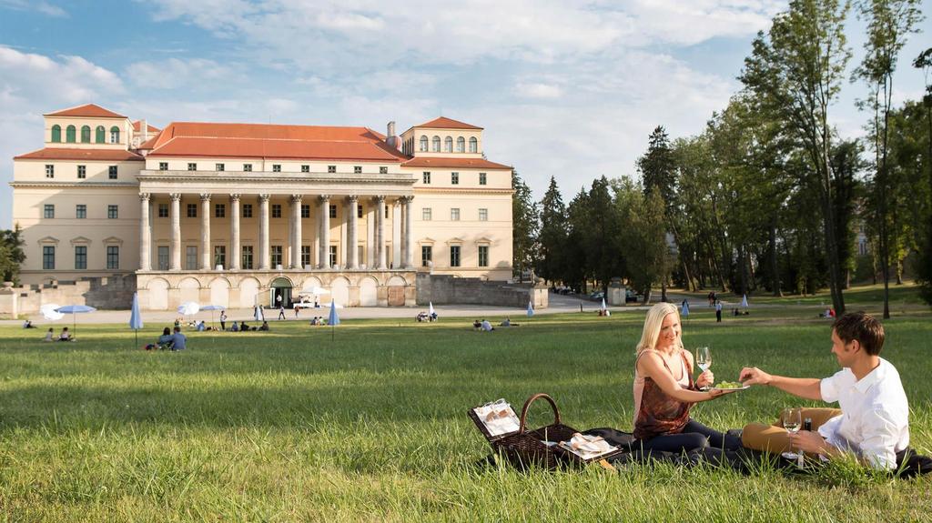 Marktaktivität Sommer Paket Sommergenuss