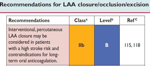 ? Guidelines and EHRA survey 2015 Clinical practice in Europe (33 centers): Main indication (94%): AF, CHA 2 DS 2 VASC 2 AND a contraindication to OAC LAA closure as a