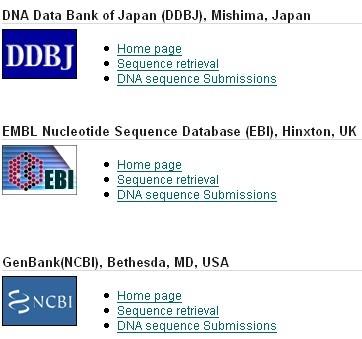 Datenbanken für Nukleotidsequenzen - Primärdatenbanken International Nucleotide Sequence Database Collaboration (INSDC, http://www.insdc.org) NCBI Nucleotide (GenBank) http://www.ncbi.nlm.nih.