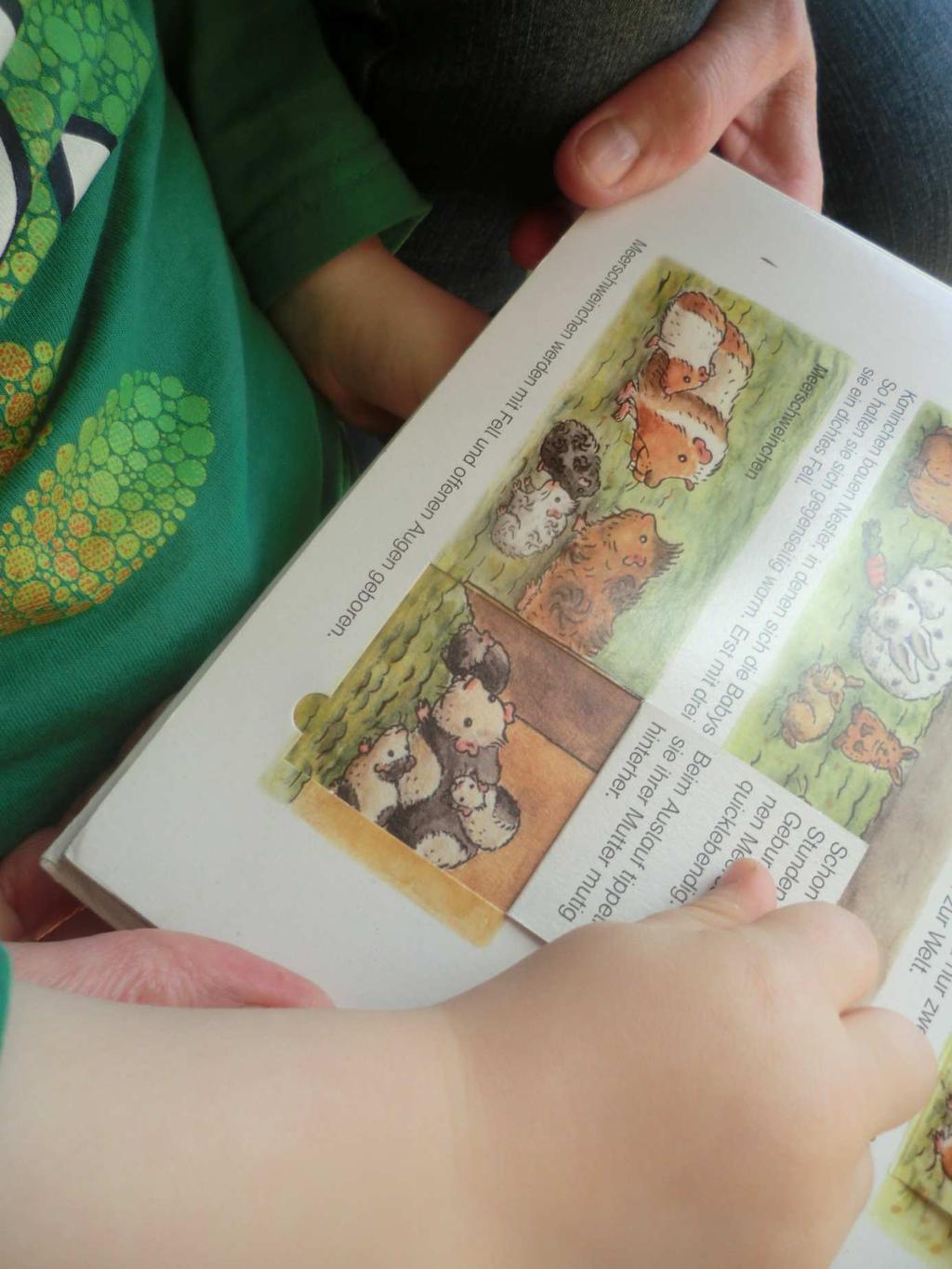 Hagen hat im Bilderbuch ein Hamsterrad entdeckt und möchte wissen, ob wir auch so ein,,rad" für unsere Tiere brauchen.