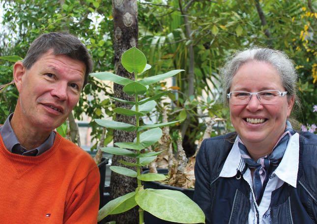 WIssensChafT & forschung VoM unkraut zur nutzpflanze Calotropis procera könnte in Afrika einen großen Beitrag zum Schutz der Biodiversität leisten Prof. Stefan Porembski, Prof.
