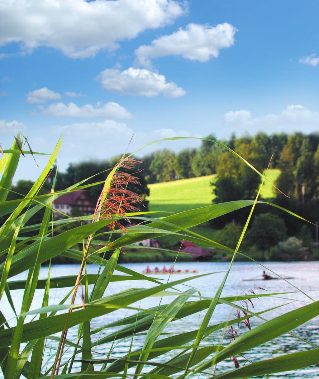 Natur und Sport im Einklang Eine Erneuerung der Infrastruktur für den Rudersport am Rotsee ist
