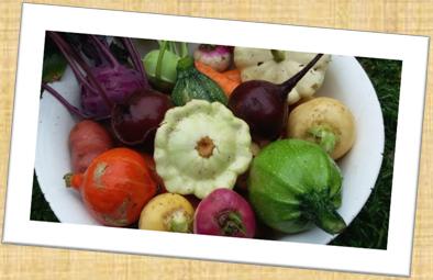 Zusätzlich zum Grundsortiment kannst Du folgende Gemüsesorten noch extra abonnieren: Mangold Rote Rohnen Mairüben/Herbstrüben Topinambur Weitere