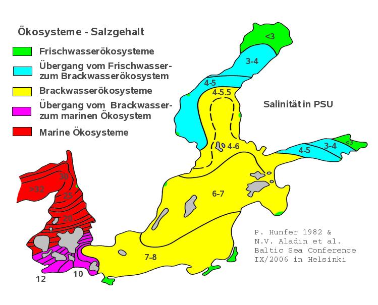 Die Ostsee hohe Flusswasserzufuhr eingeschränkter Wasseraustausch mit der Nordsee Brackwassermeer Salzgehalt starke regionale Schwankungen 20 25 PSU