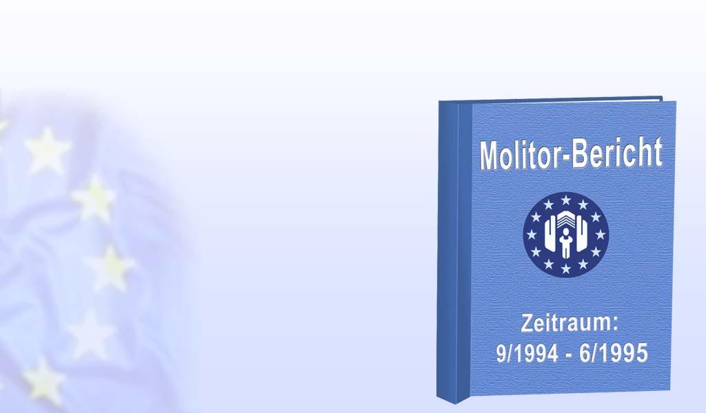 Wichtige Empfehlungen des Molitor -Berichtes Klarstellung des Anwendungsbereiches Abgrenzung zur Niederspannungsrichtlinie Anwendung auf nicht verwendungsfähige Maschinen praxisgerechte