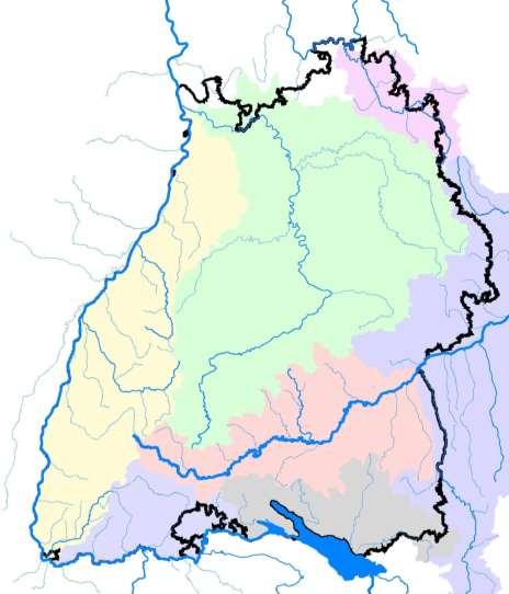Analyse der LARSIM-Vorhersagequalität im Einzugsgebiet des Neckars Pegel