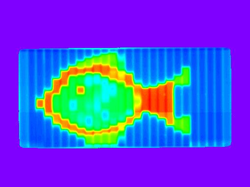 Fisch-Test (gibt es schon länger als Nemo!