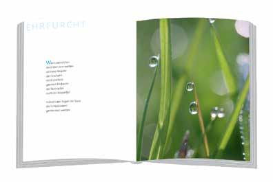 Neuerscheinung Besondere Geschenkbücher für viele Anlässe Mit reißfestem, transparentem Schutzumschlag Mit handgemaltem Aquarell