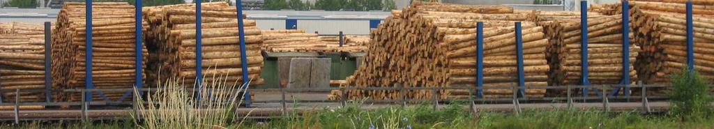 Zunehmende Nutzungsintensivierung und Ertragsorientierung in der Forstwirtschaft Wachsender Nutzungsdruck: Erhöhung der Holzeinschläge, sinkende CO 2 -Senkenleistung Postulierte Holzversorgungslücke